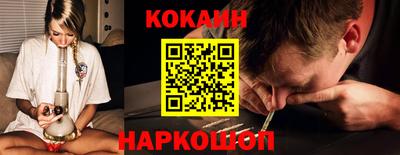 крисы Будённовск