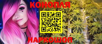 крисы Будённовск