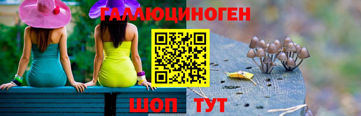 Псилоцибиновые грибы ЛСД Тайшет